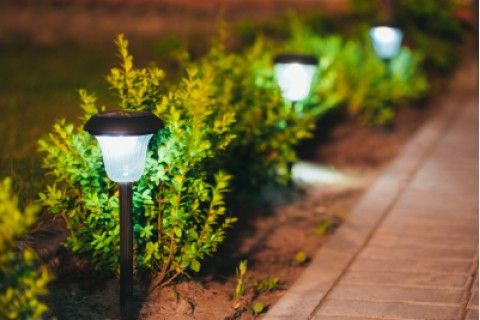 Utilize para ver mais