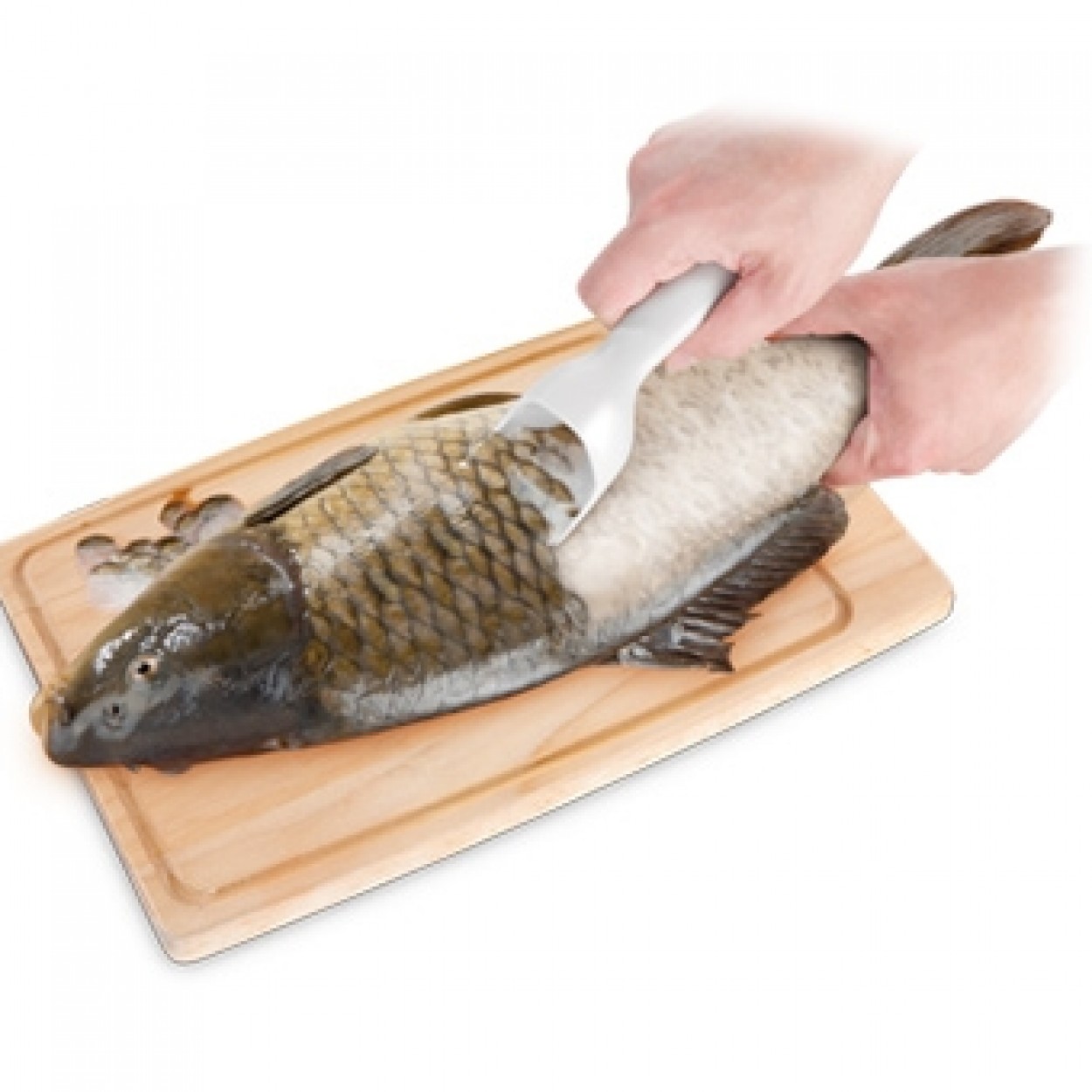 Escamador peixe TESCOMA PRESTO 420121