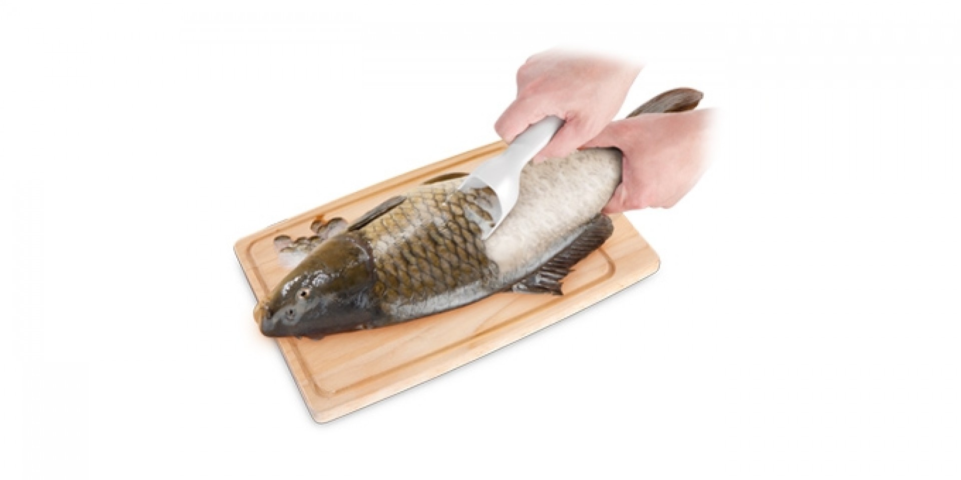 Escamador peixe TESCOMA PRESTO 420121