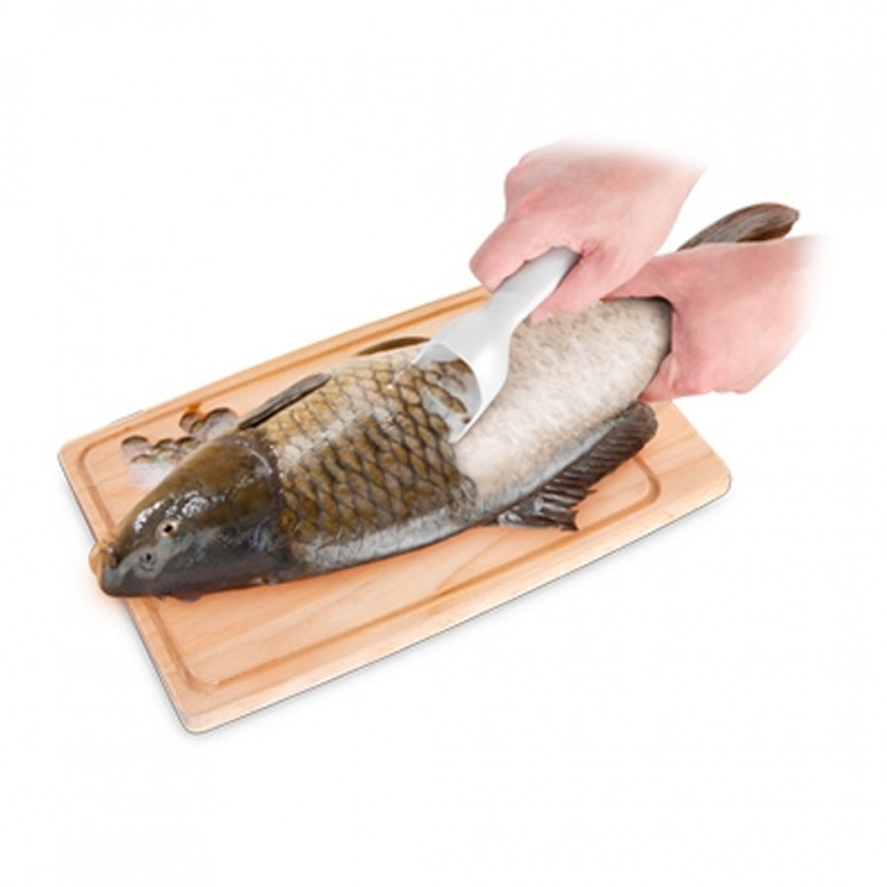 Escamador peixe TESCOMA PRESTO 420121