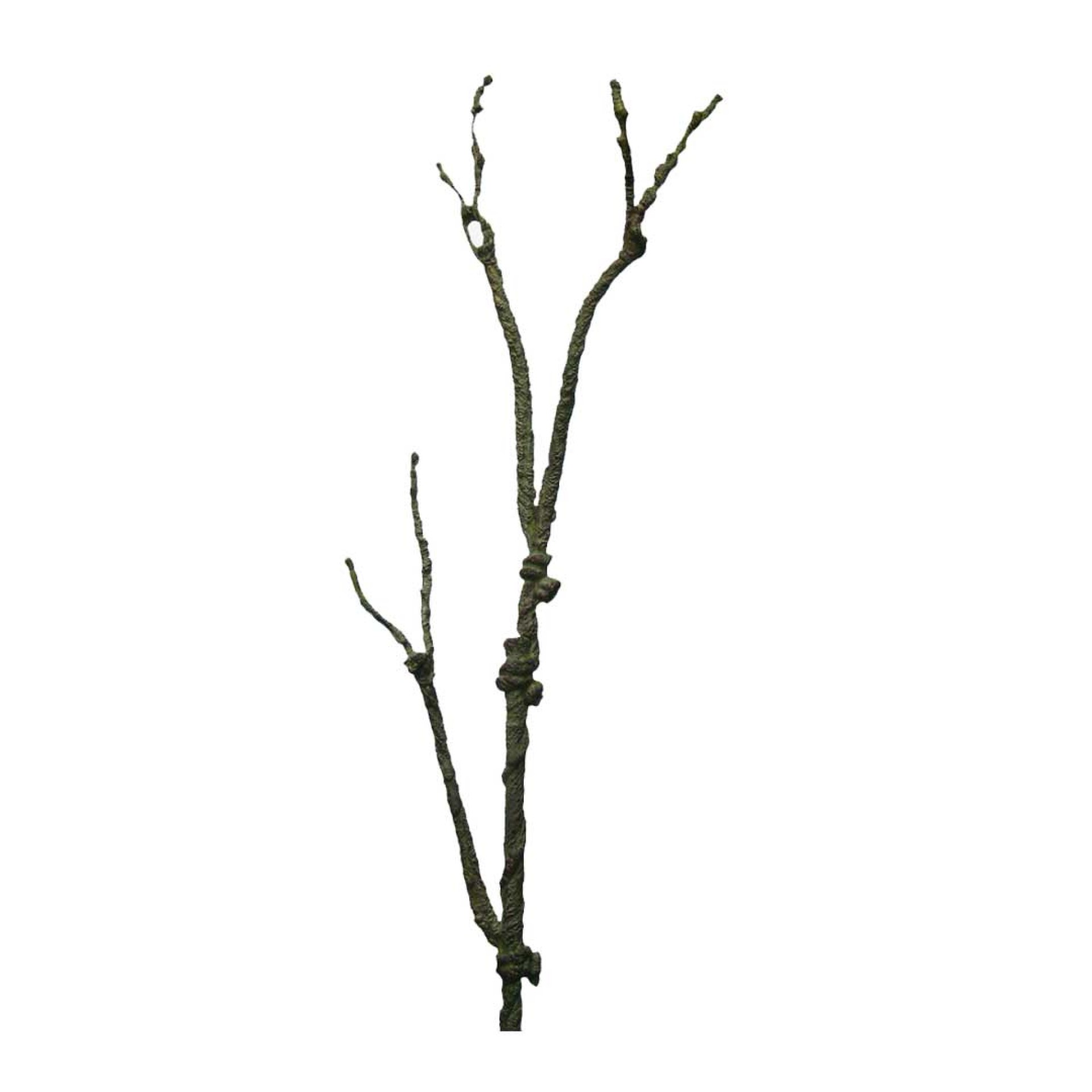 Haste raíz JOM 0250900000970