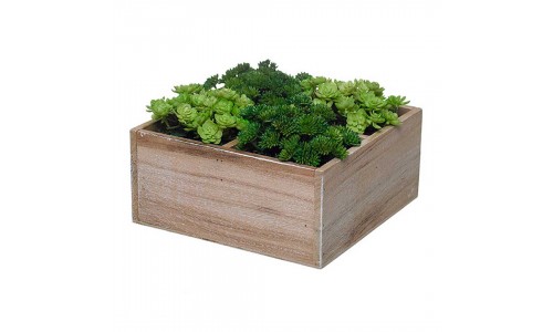 Caixa com Plantas Artificiais  43263