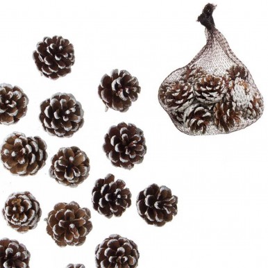 Conjunto 16 pinhas JOM 3046272