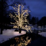 Luzes Natal EGLO 465-06 Luzes Natal EGLO 465-06