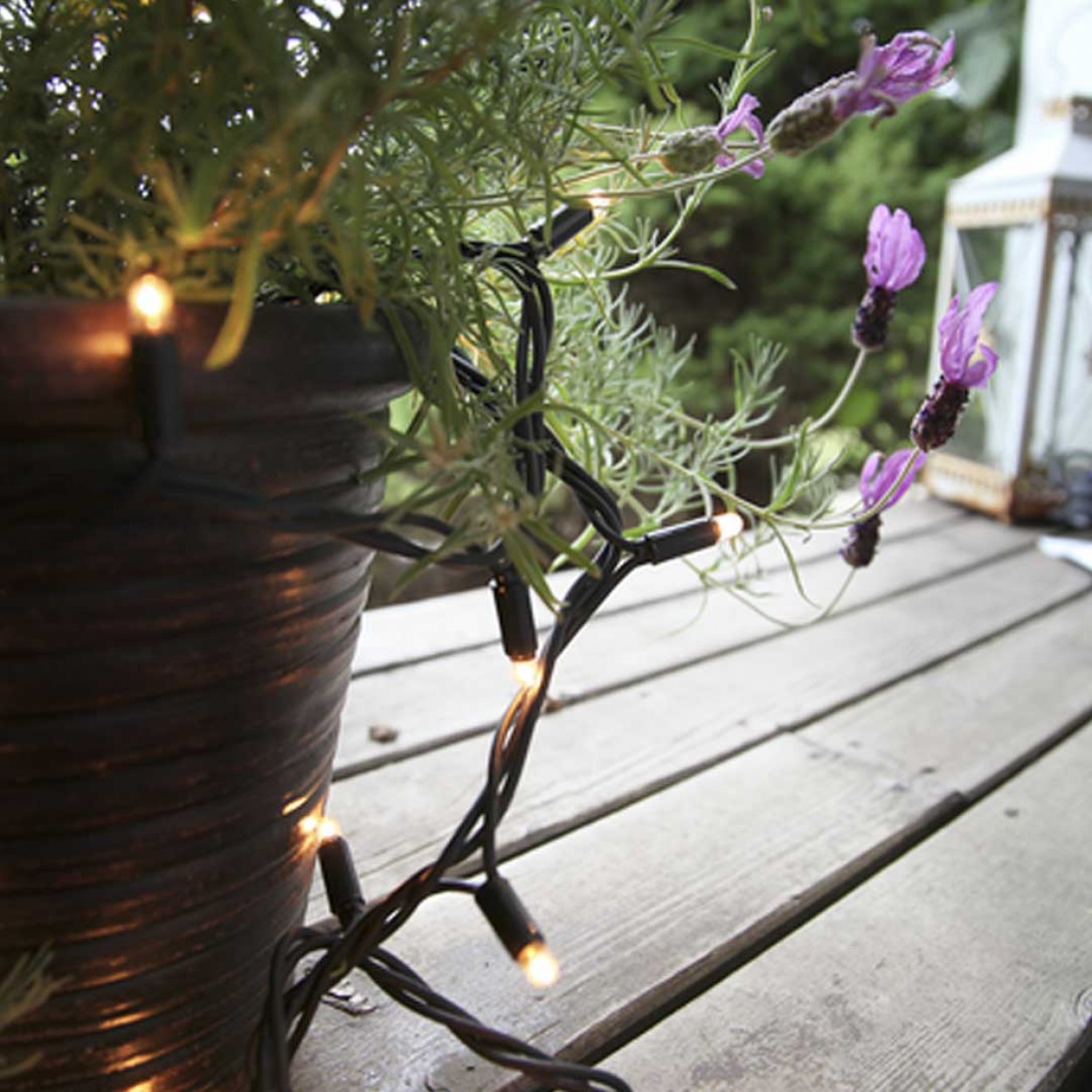 Luzes Natal EGLO 484-12