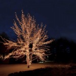 Luzes Natal EGLO 484-12 Luzes Natal EGLO 484-12