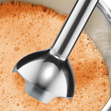 Varinha BOSCH MSM24100