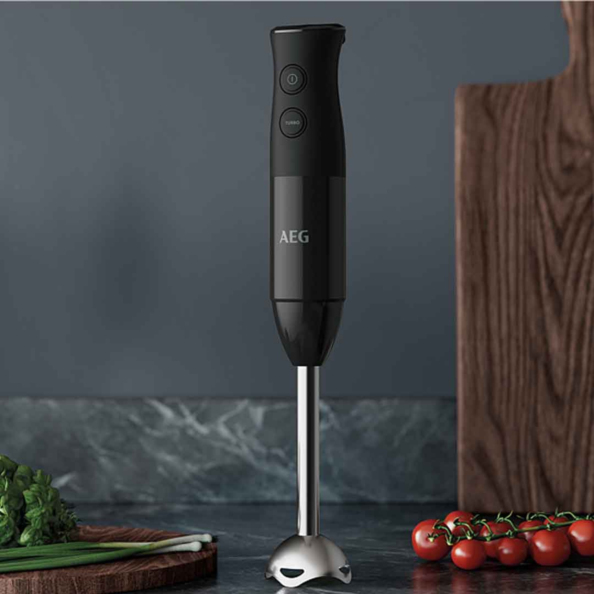 VARINHA AEG HB4-1-6GG