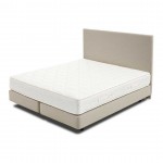 Pack MOLAFLEX Comfort Bed