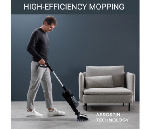 Aspirador Vertical ROWENTA GZ3039WO