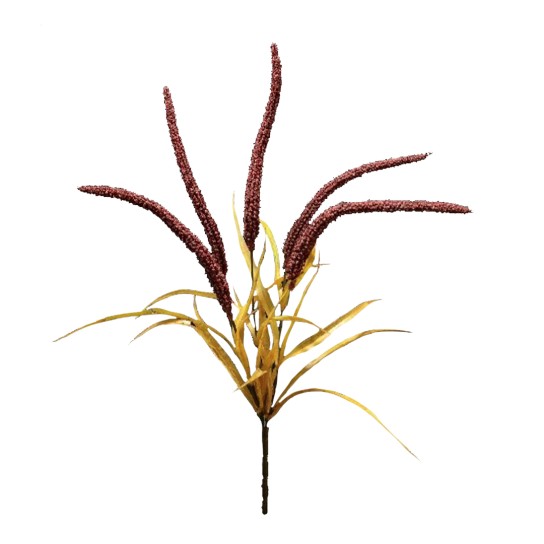 Ramo amaranthus JOM N1700800752 - Image product