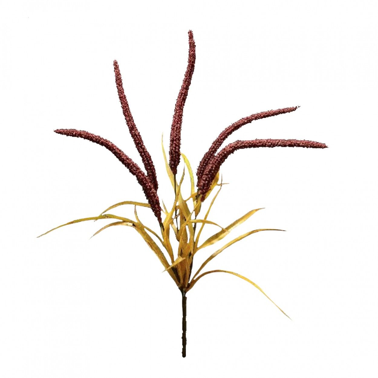 Ramo amaranthus JOM N1700800752