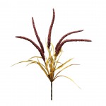 Ramo amaranthus JOM N1700800752