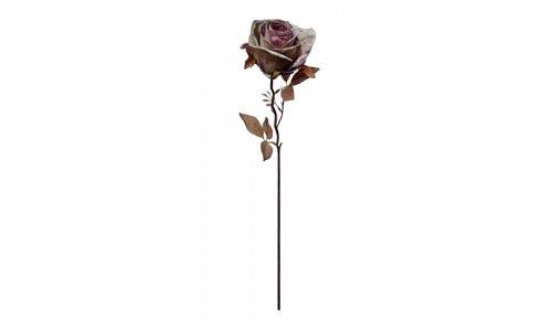 Haste boto rosa JOM 2185200000055