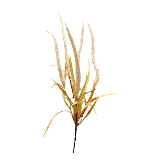 Ramo amaranthus JOM N1700800775 - Image product