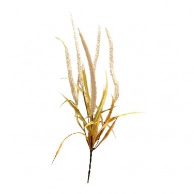 Ramo amaranthus JOM N1700800775