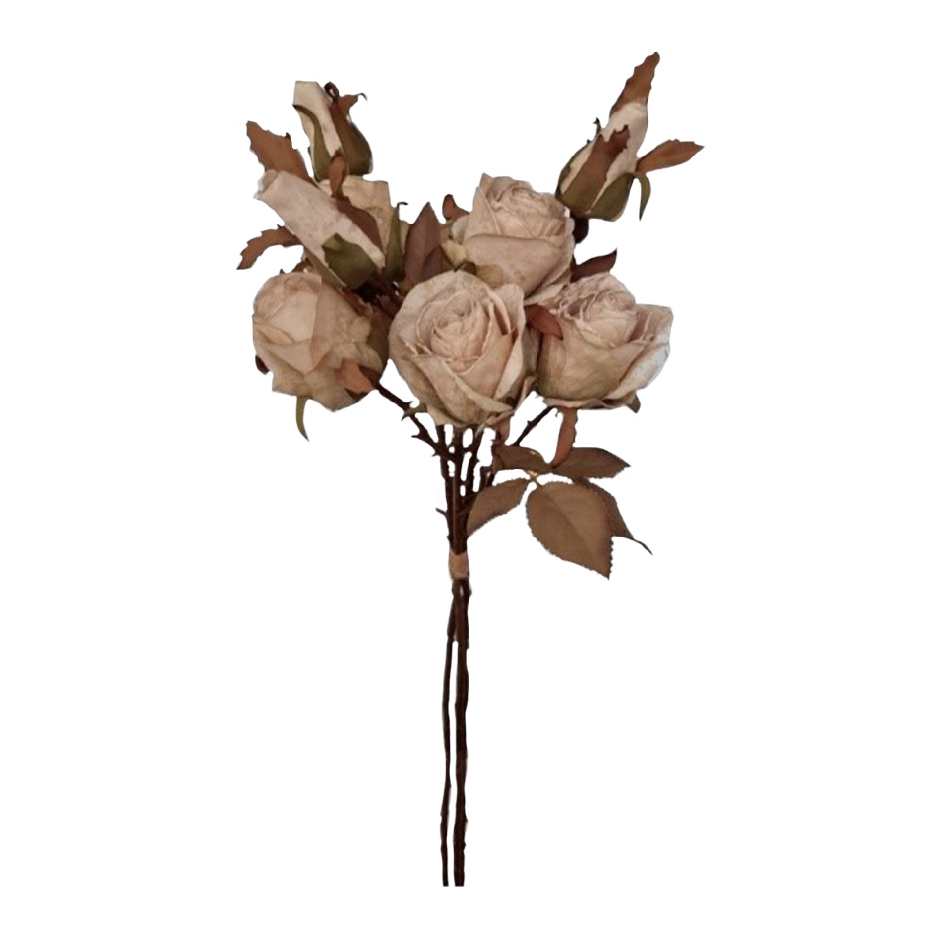 Haste botão rosa JOM 2185100000759