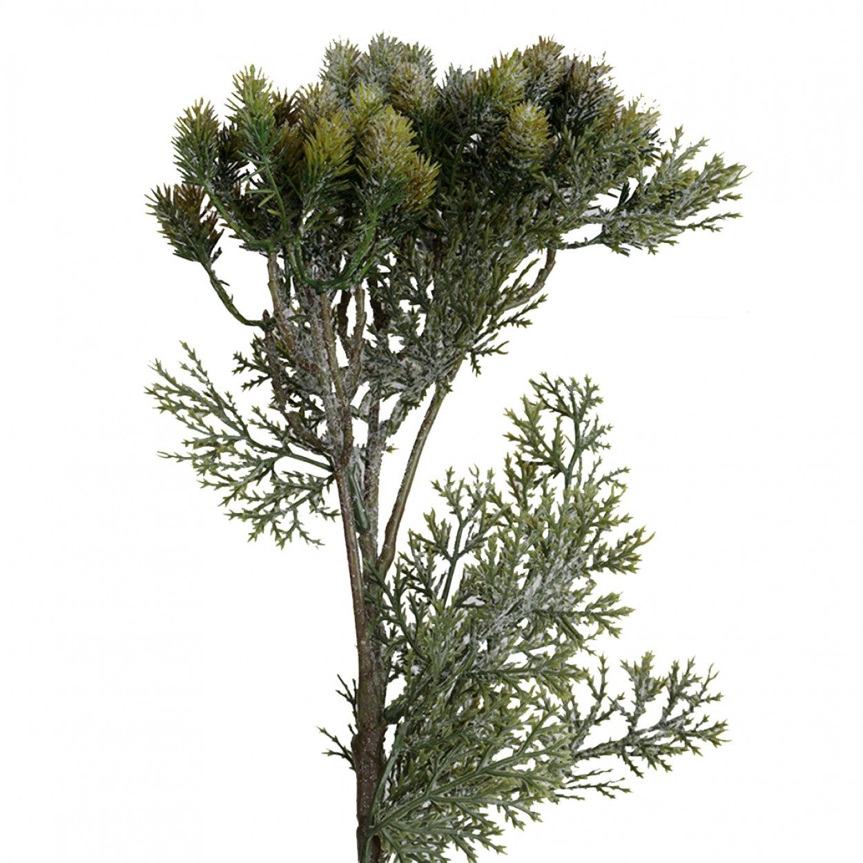 Haste mini cardos JOM N1700700520