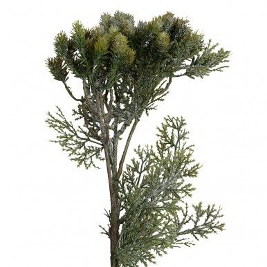 Haste mini cardos JOM N1700700520