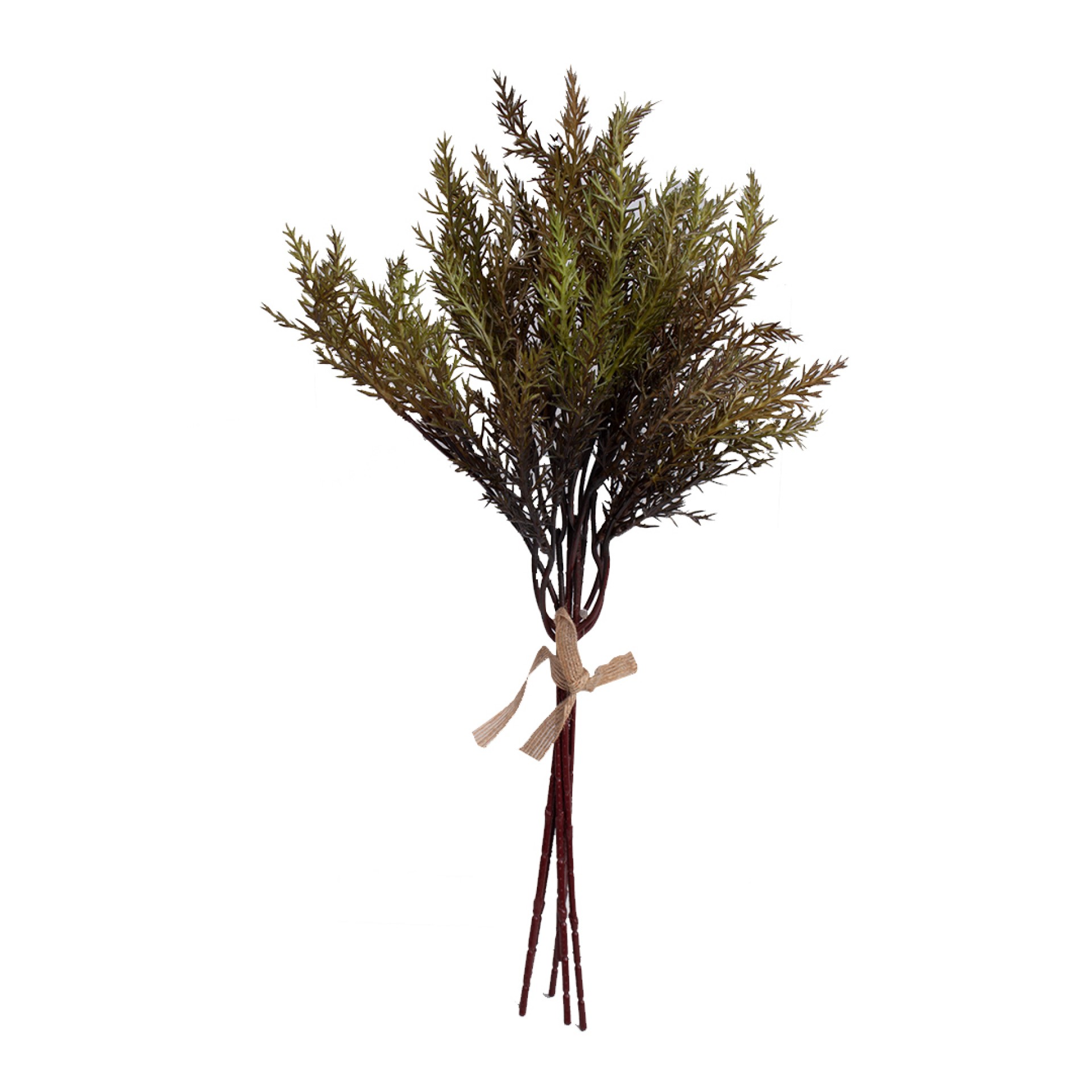 Atado tuia JOM N1700800120