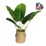 Planta artificial JOM 317221040 Planta artificial JOM 317221040