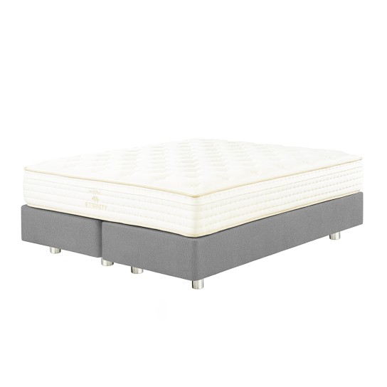 Base MOLAFLEX New Paladium Adapt - Image product