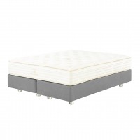 Base MOLAFLEX New Paladium Adapt