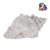 Decor Praia JOM 252120310