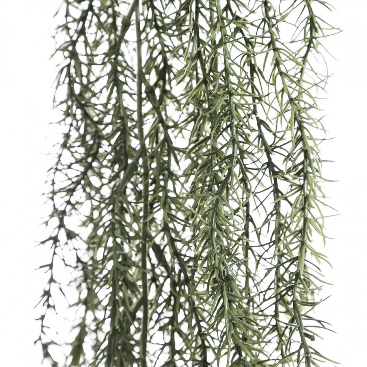 Ramo carpa JOM 107422