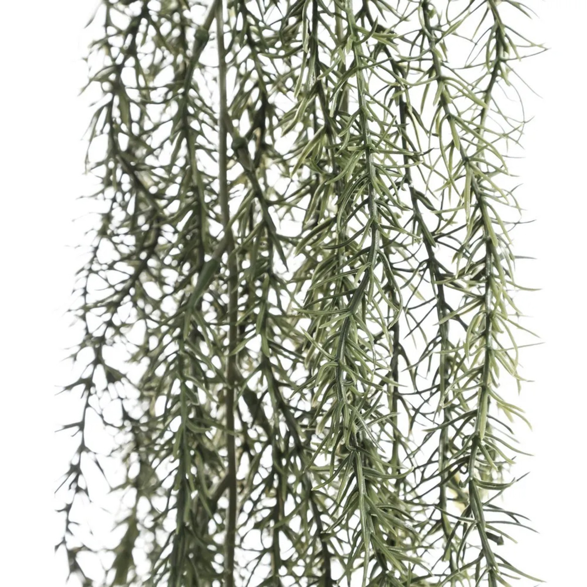 Ramo carpa JOM 107422