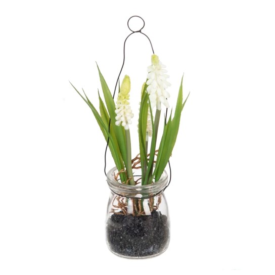 Planta JOM 604072 - Image product