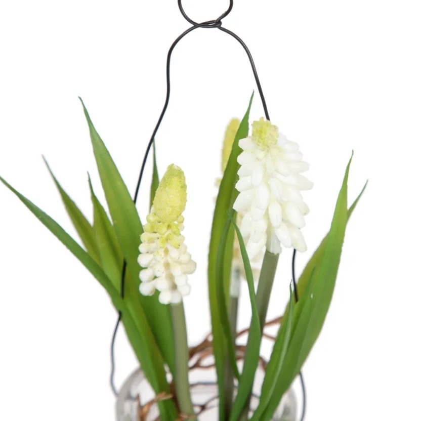 Planta JOM 604072