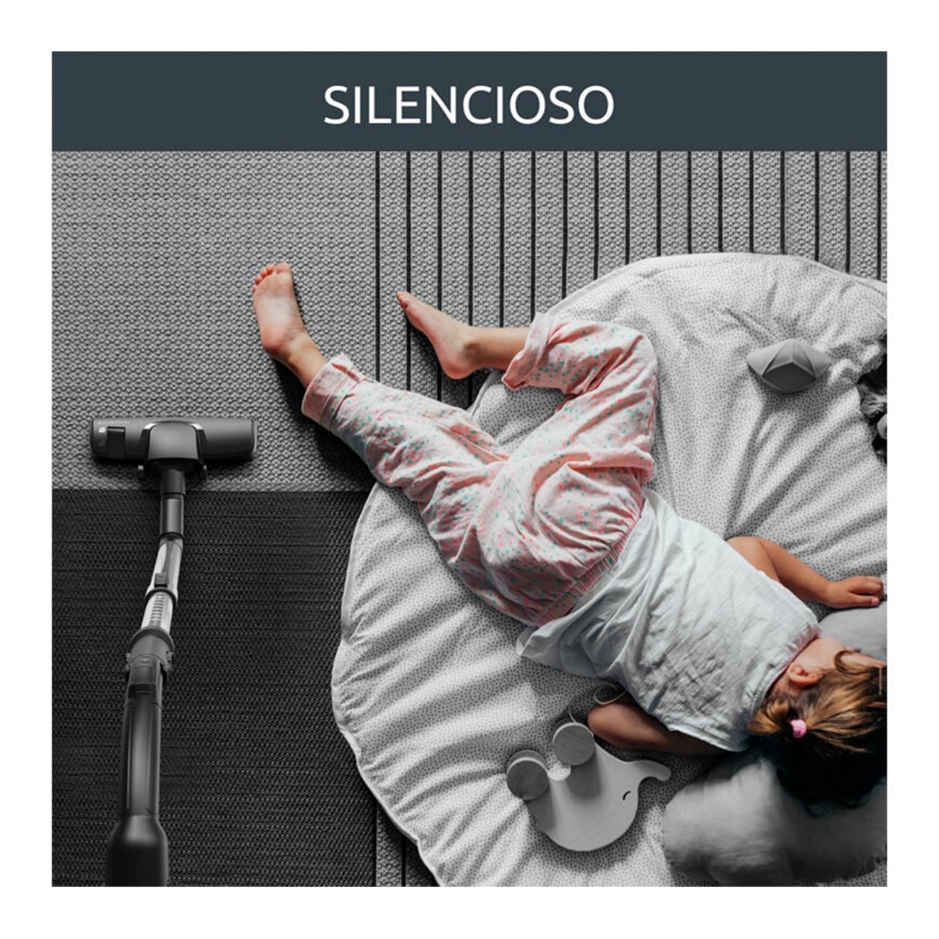 Aspirador com Saco ROWENTA RO6189EA