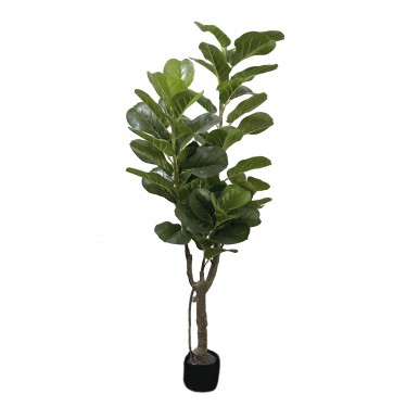 Planta Fidder JOM 2361500000005