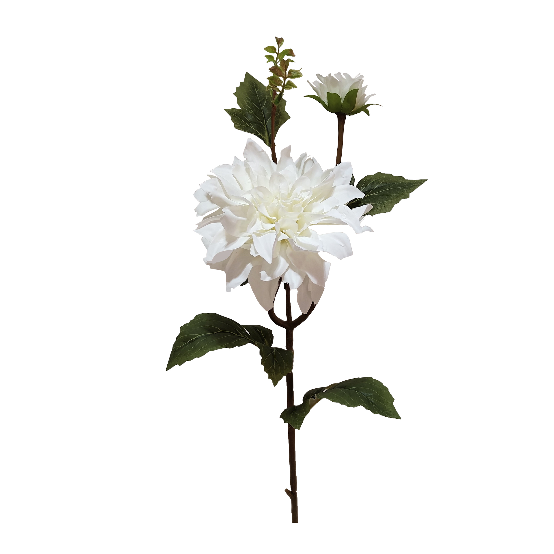 Haste dália JOM 2138200000754