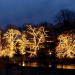 Luzes Natal EGLO 465-16-33 Luzes Natal EGLO 465-16-33