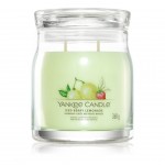 Vela jarro YANKKE CANDLE MEDIUM ICED BERRY 1630017E