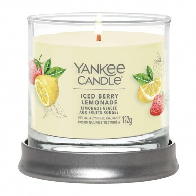Vela jarro YANKKE CANDLE 1744734E ICED BERRY