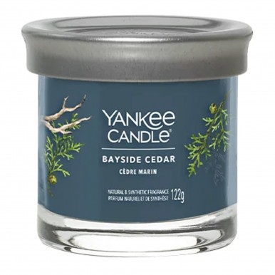 Vela jarro YANKKE CANDLE 1744755E BAYSIDE CEDAR