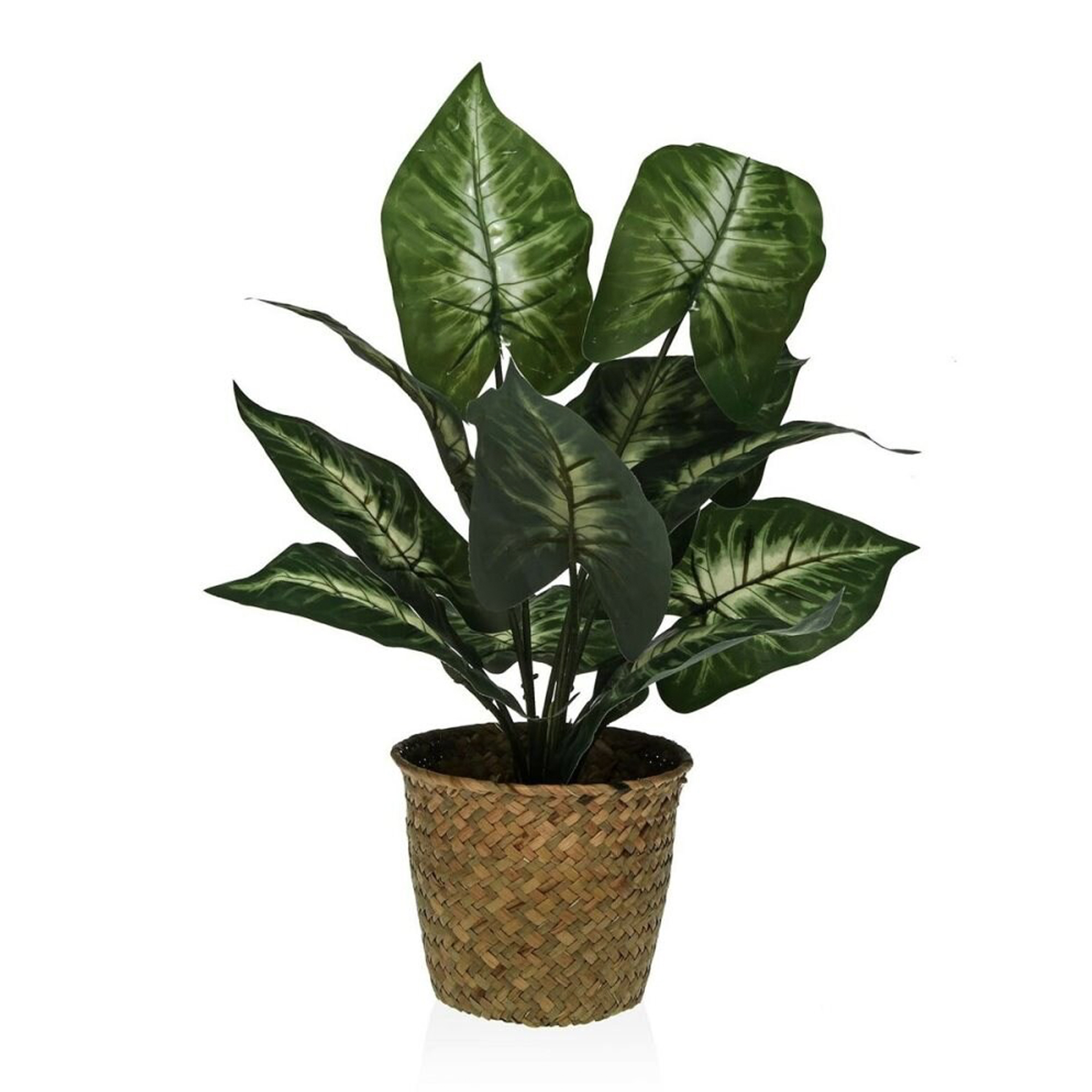 Planta decorativa JOM 2241-0015