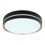 Candeeiro teto GLOBO 41759-24 MANNI