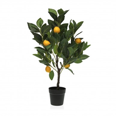 Planta decorativa JOM 2241-0035