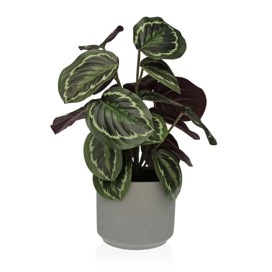 Planta decorativa JOM 2241-0016 - Image product