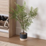 Planta decorativa JOM 2241-0032