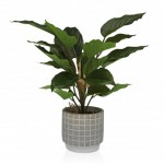 Planta decorativa JOM 2241-0011