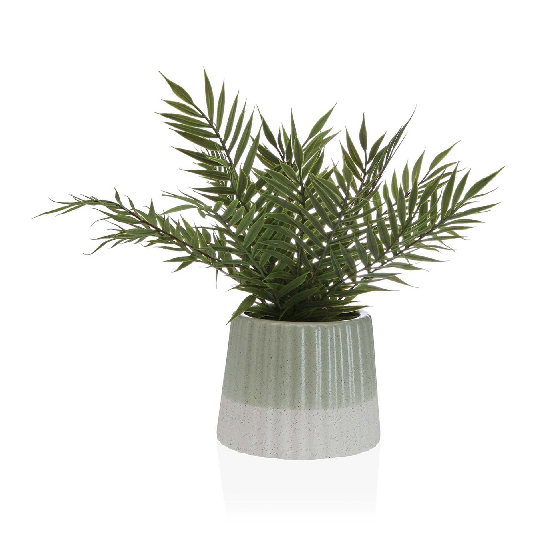Planta decorativa JOM 2241-0033