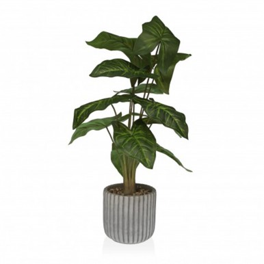 Planta decorativa JOM 2241-0027