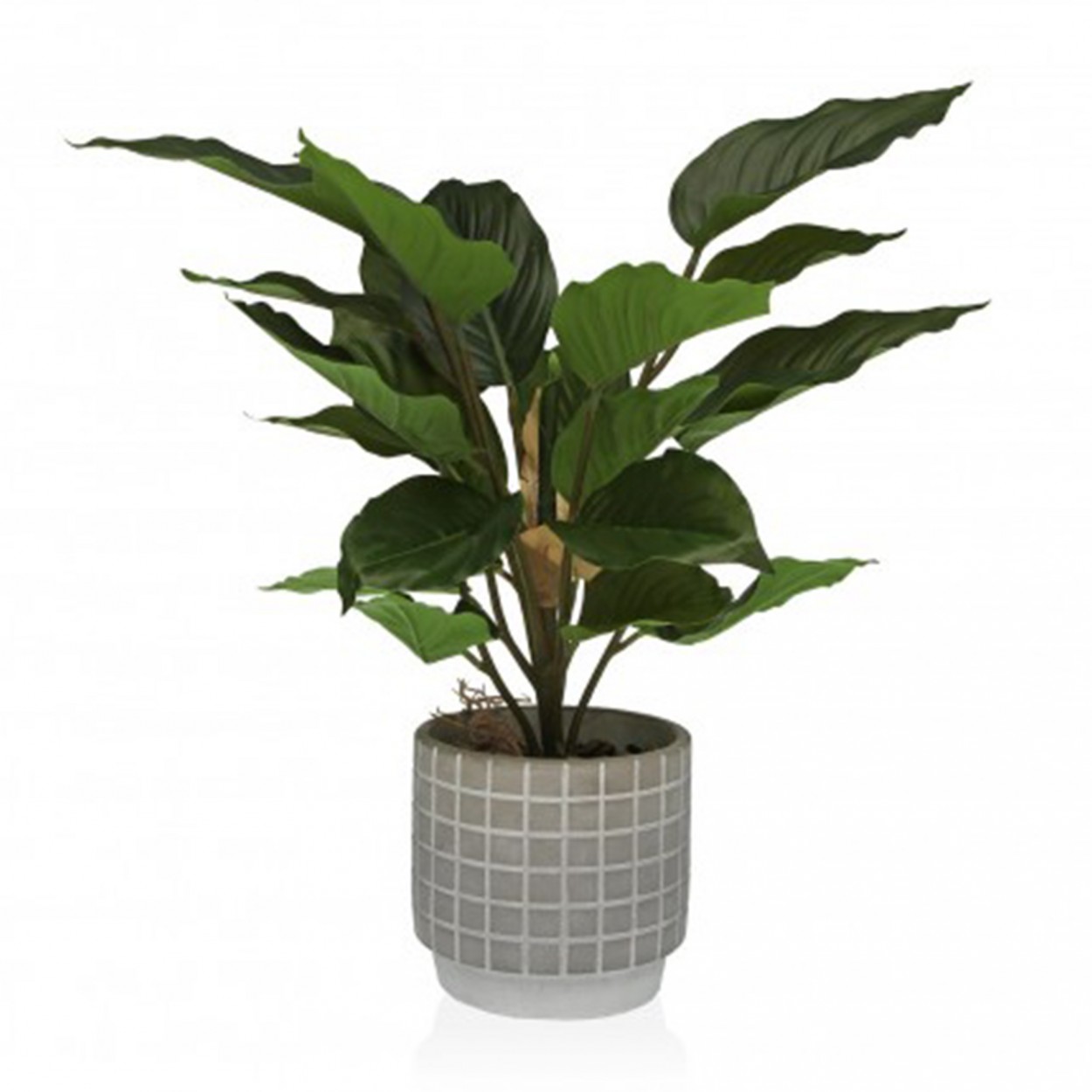 Planta decorativa JOM 2241-0011