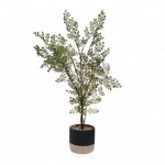 Planta decorativa JOM 2241-0032