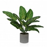 Planta decorativa JOM 2241-0013